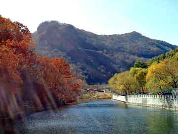 澳门二四六天天彩图库，波峰焊配件